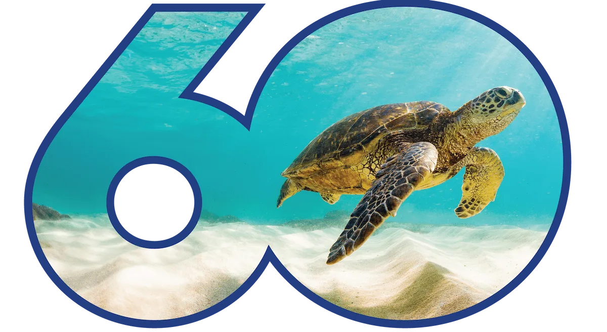 60° anniversario del CAS ANCONA!